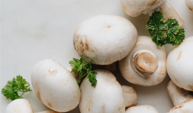 ESTIMULE O SEU SISTEMA IMUNITÁRIO